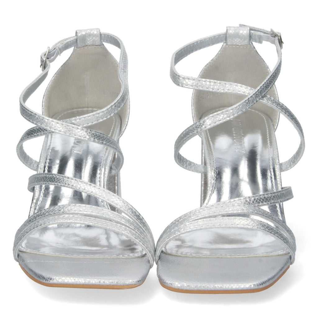 BL-2193-Argent
