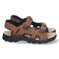 Vimice TZCN2201-Camel