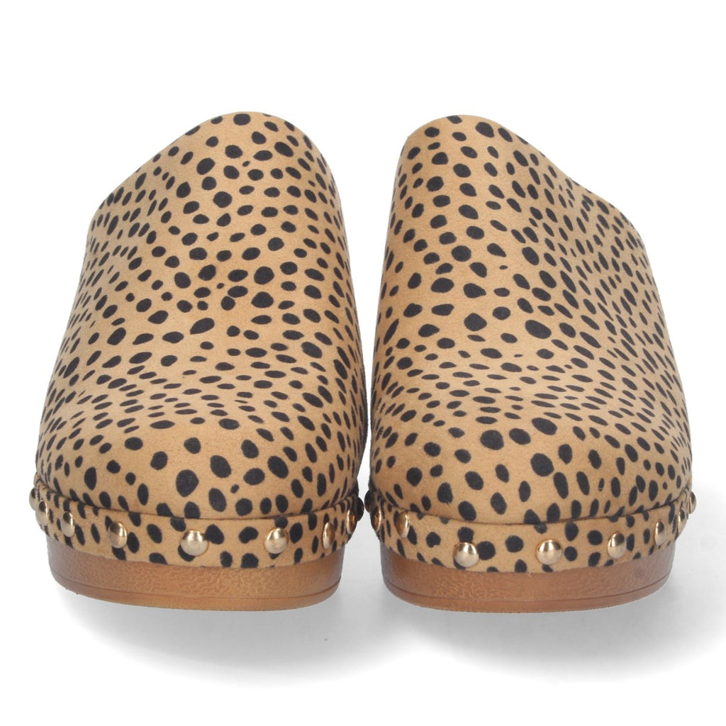 DB-2258-Leopard