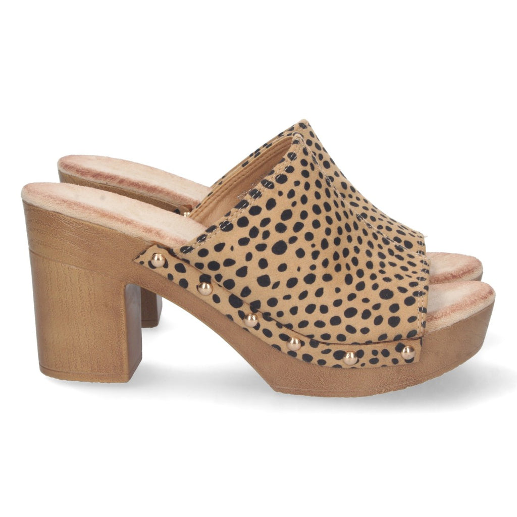 DB-2355-Lleopard