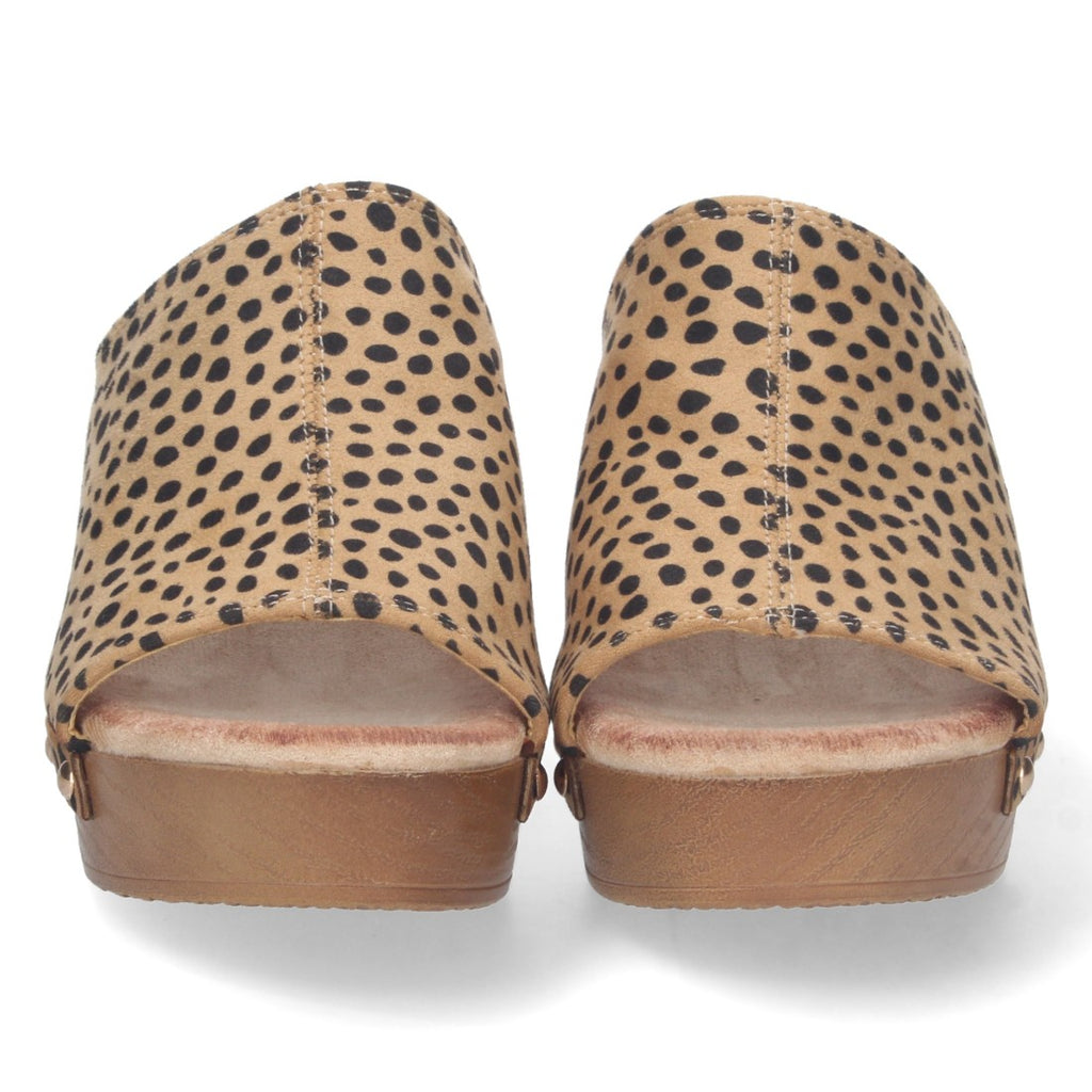 DB-2355-Lleopard
