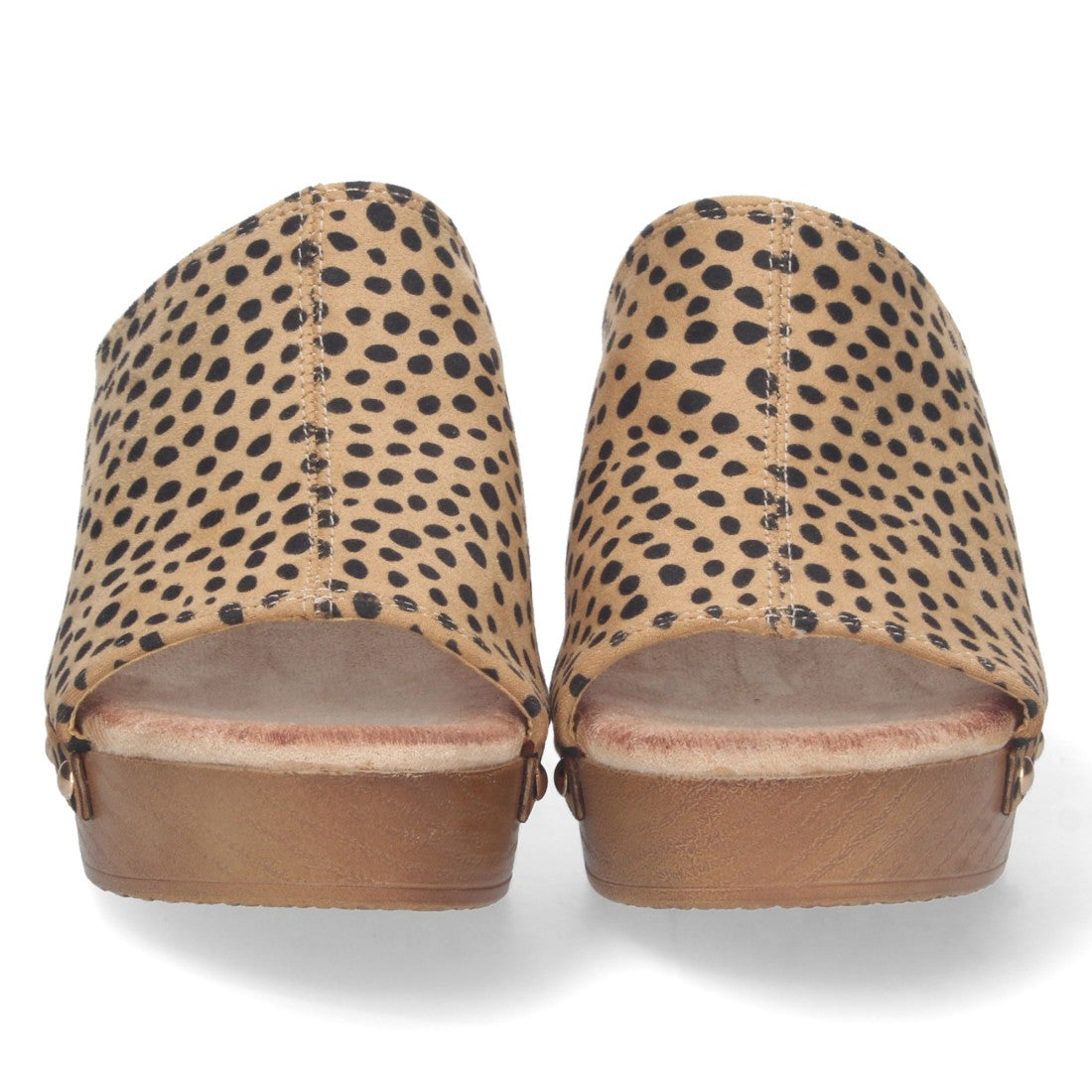 DB-2355-Lleopard