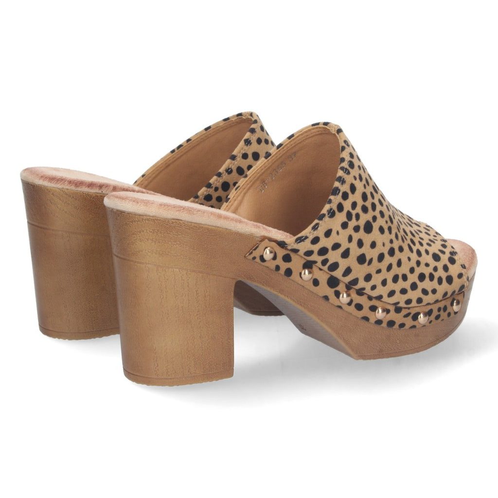 DB-2355-Lleopard
