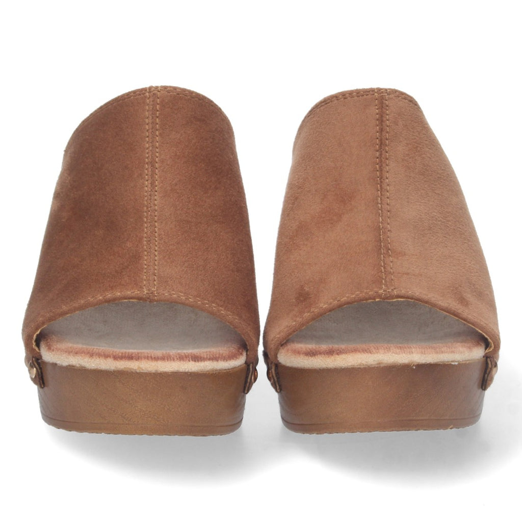DB-2355-Camell