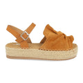 YT5550-Camell