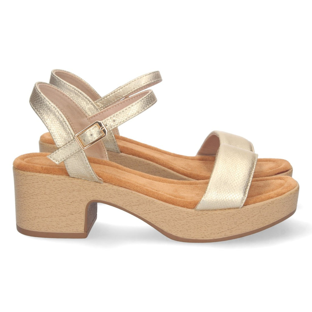 FB-2188-Or