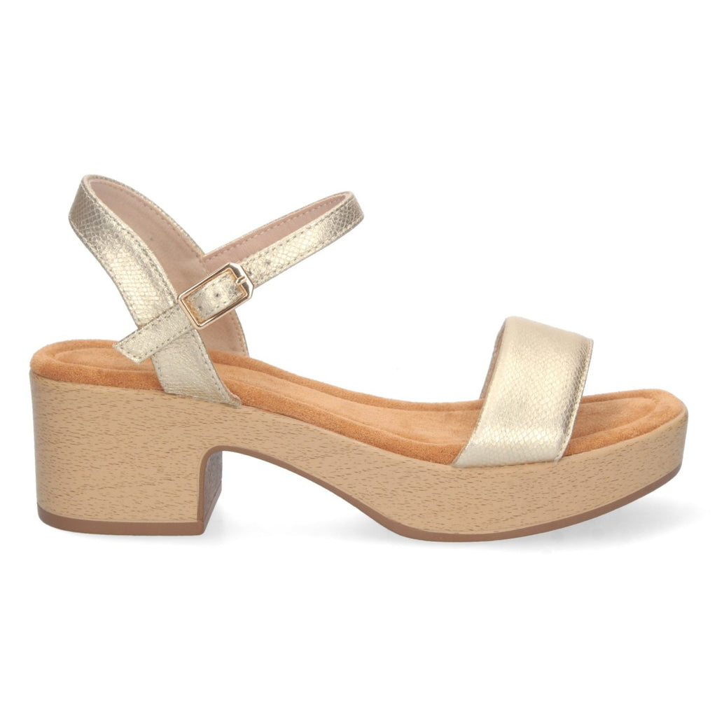 FB-2188-Or