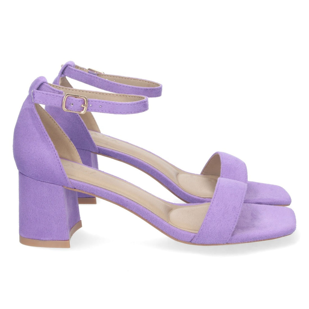 Vimice Z-2233-Purple