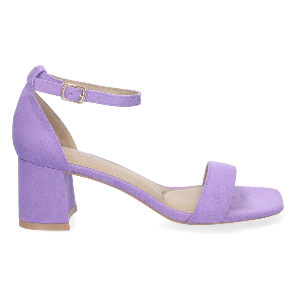 Vimice Z-2233-Purple