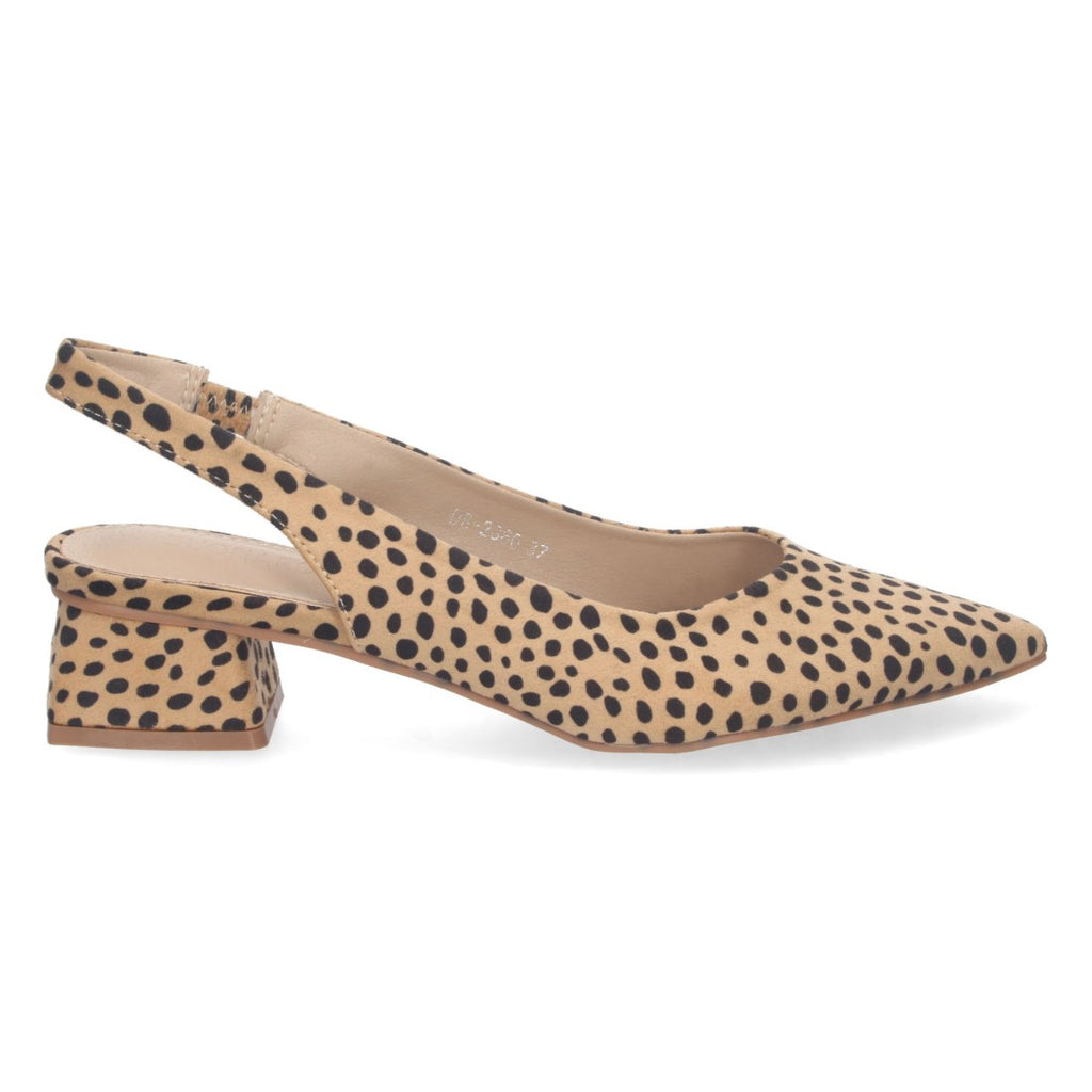 DB-2360-Lleopard