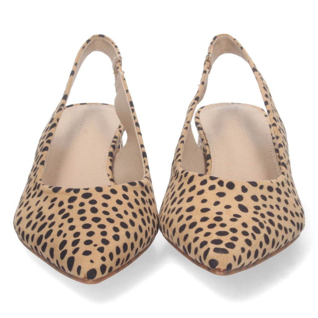 DB-2360-Lleopard