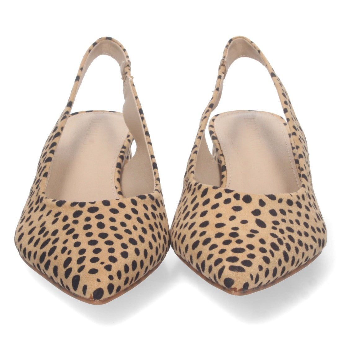 DB-2360-Lleopard