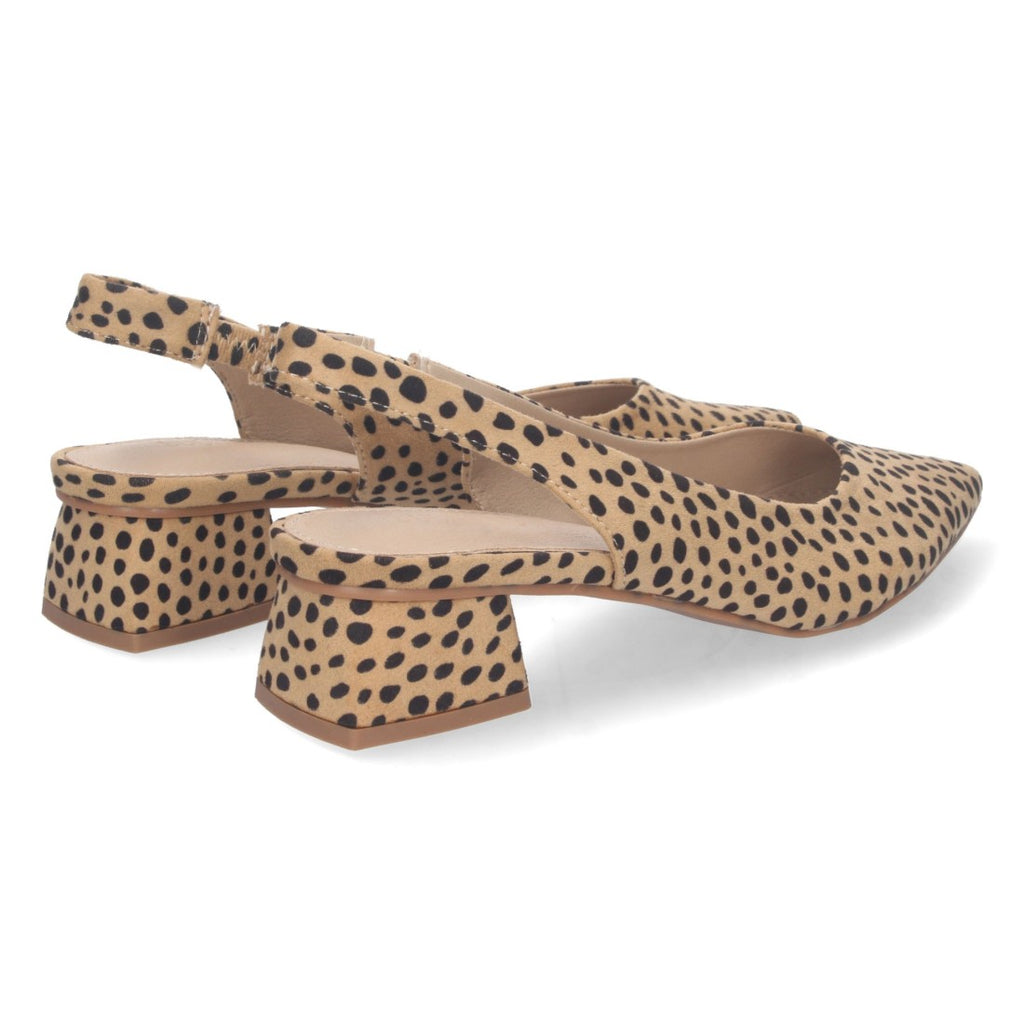 DB-2360-Lleopard