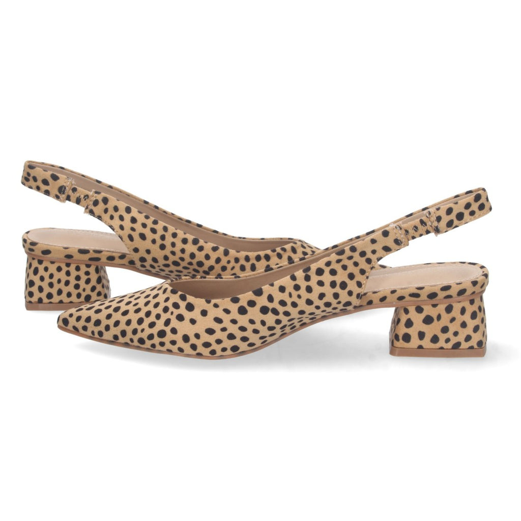 DB-2360-Lleopard