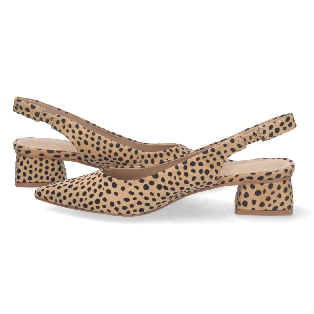 DB-2360-Lleopard