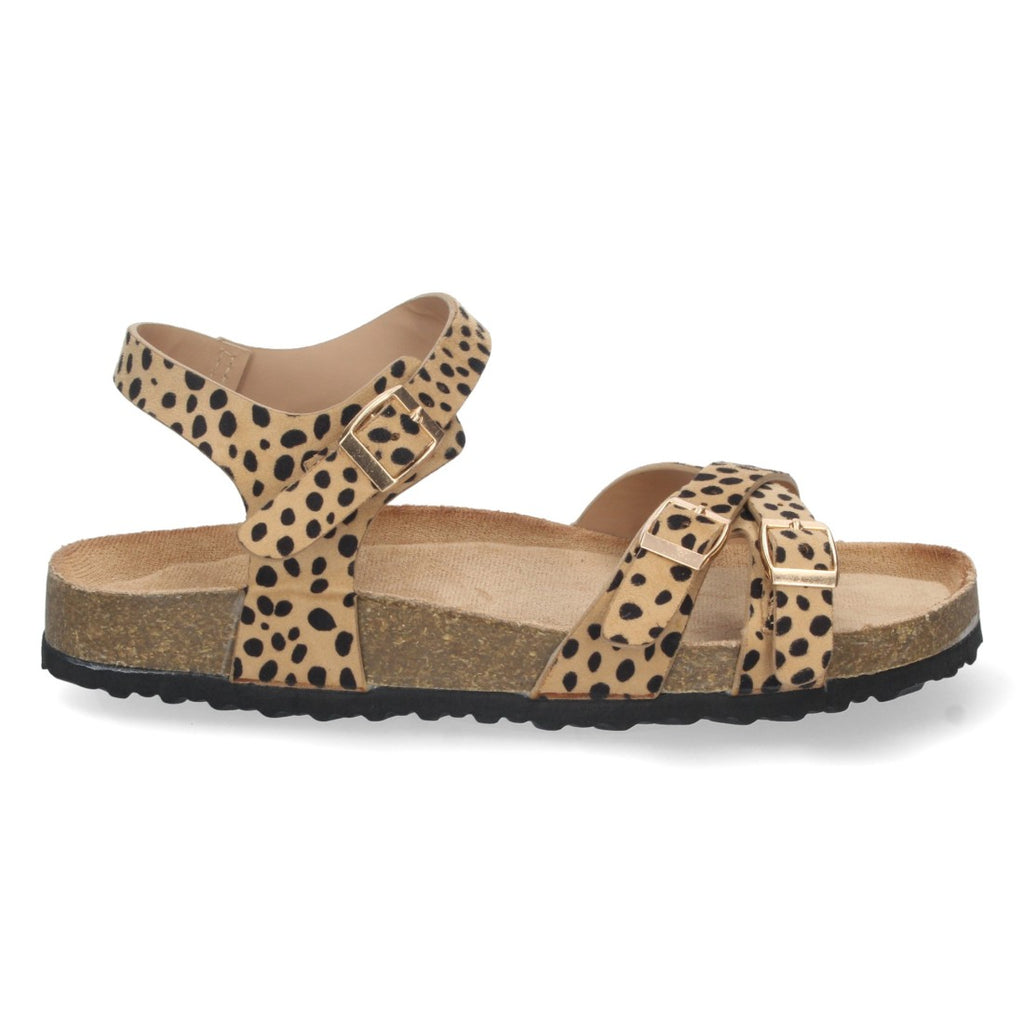 Vimice AY-2240-Leopardo