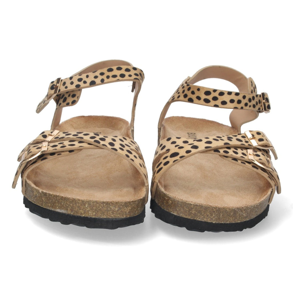 Vimice AY-2240-Leopardo