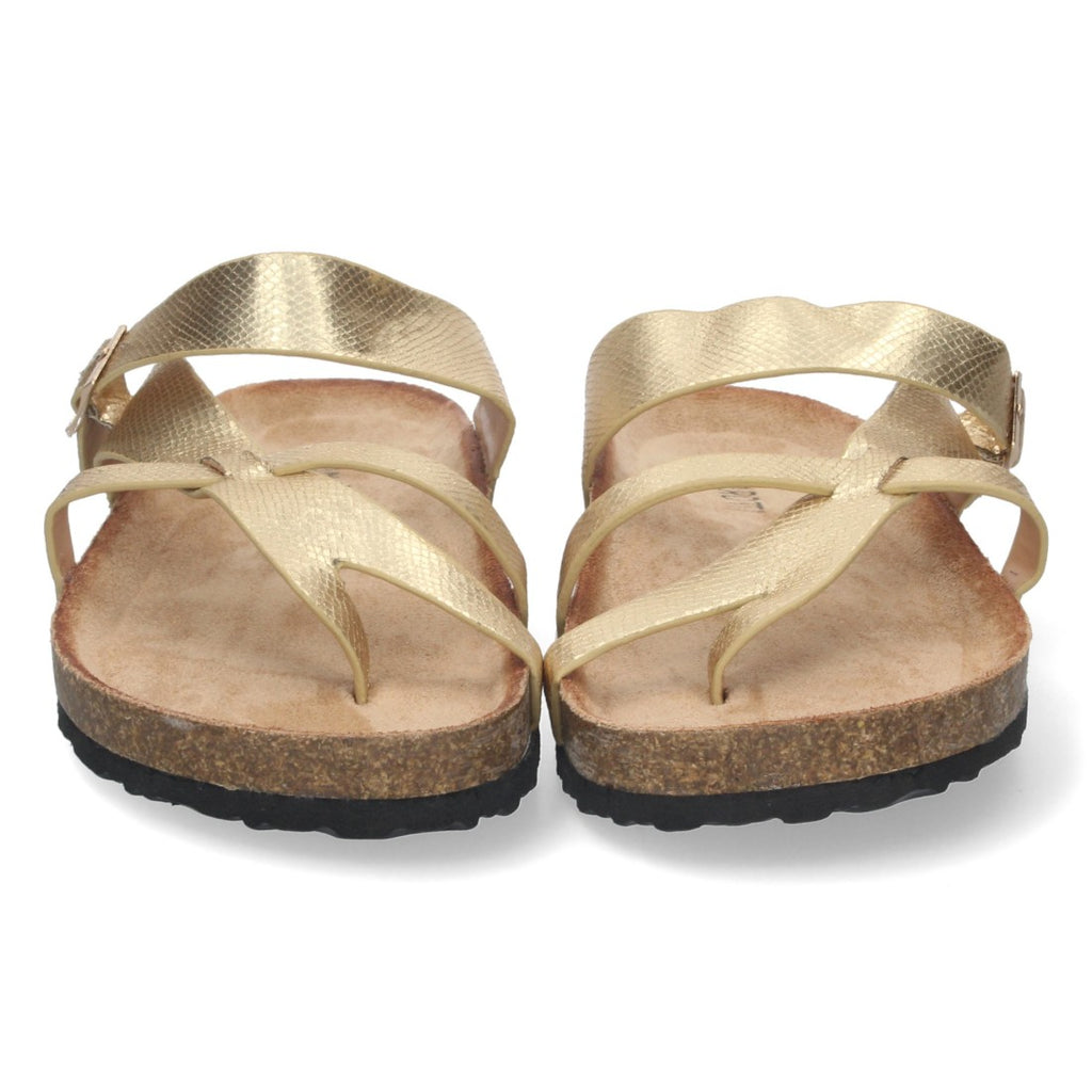 Vimice AY-2220-Oro