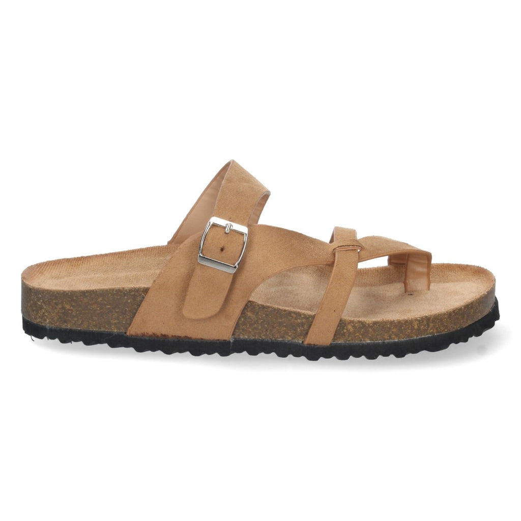 AY-2220-Camell