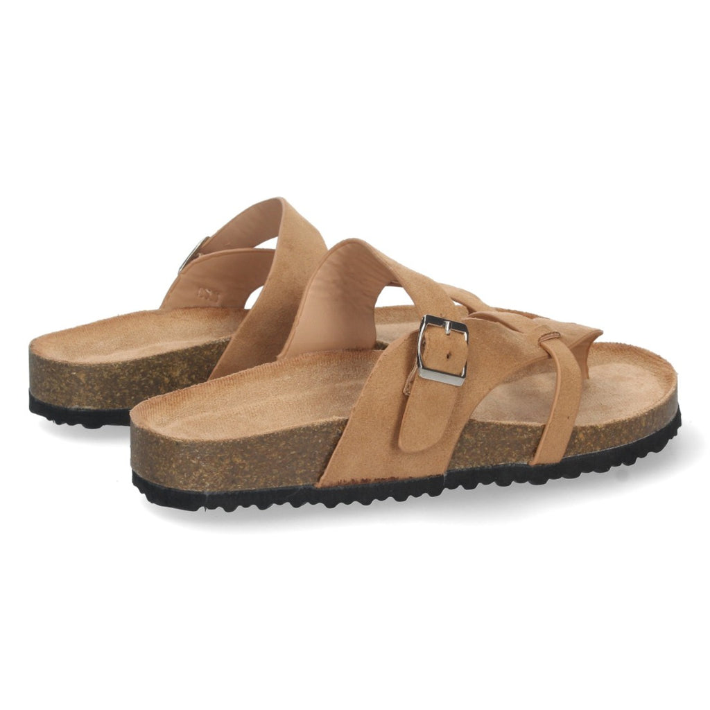 AY-2220-Camell
