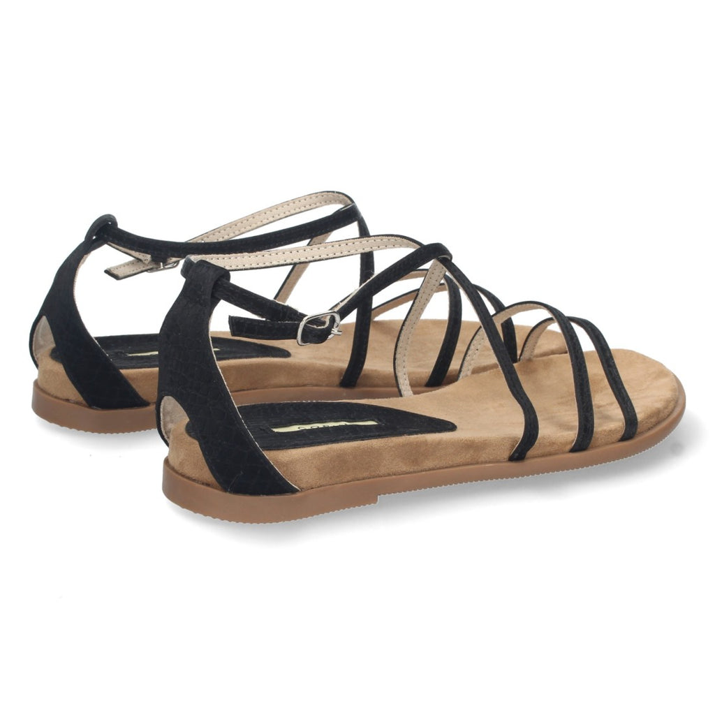 M3455-Negre