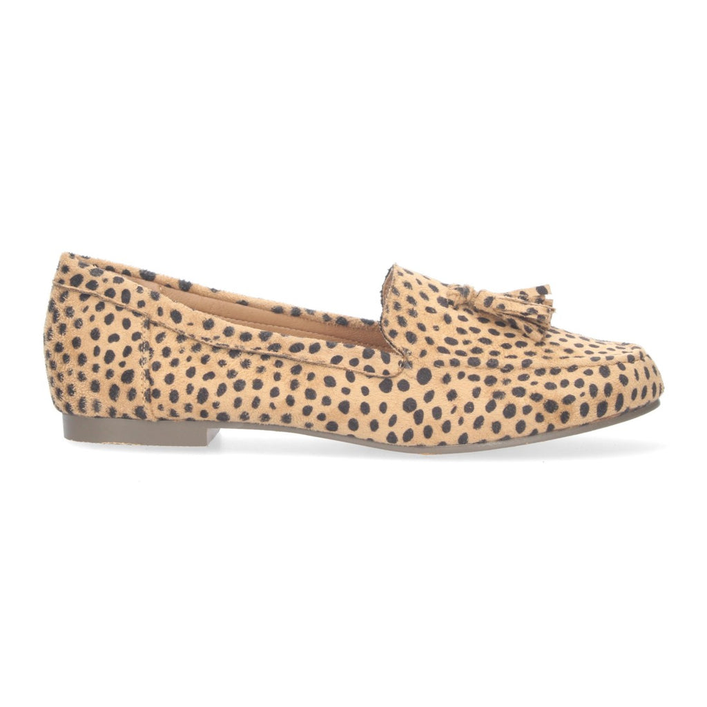 Vimice 1AS-0170-Leopardo