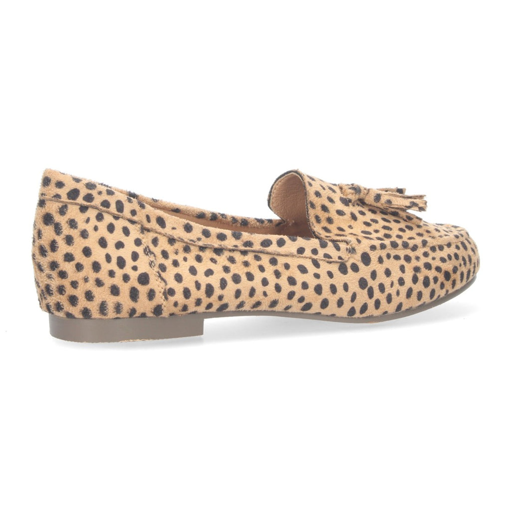 Vimice 1AS-0170-Leopardo
