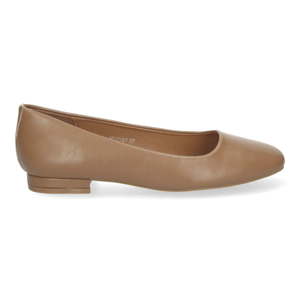 HF-2487-Camell