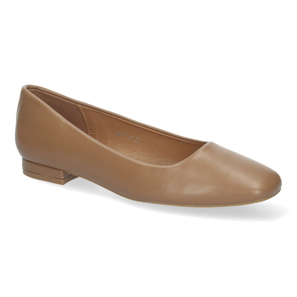 HF-2487-Camell