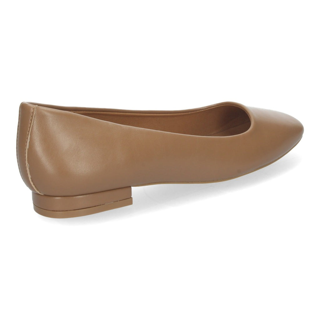 HF-2487-Camell