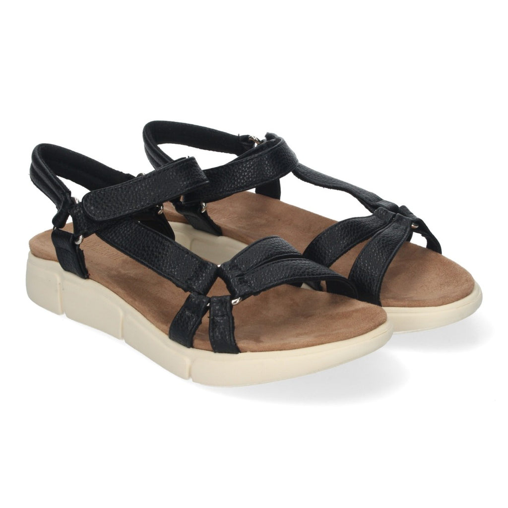 Vimice AD-3261-Negro