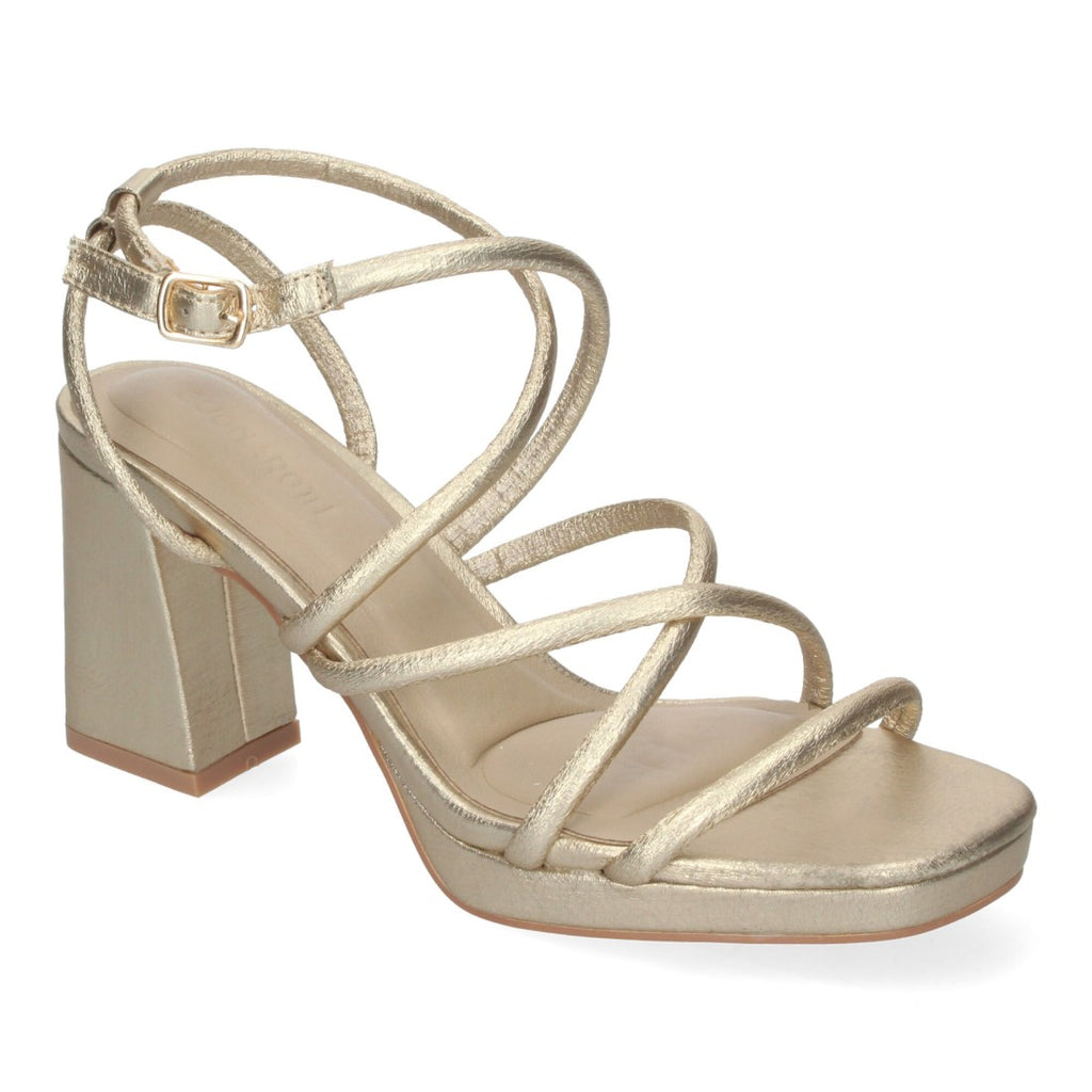 Vimice A-3257-Oro