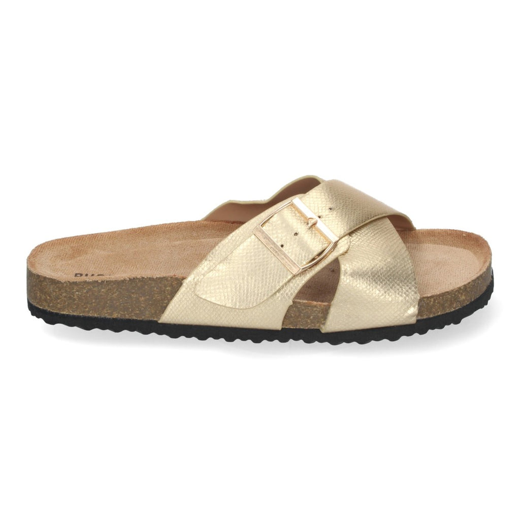 Vimice AY-2239-Oro