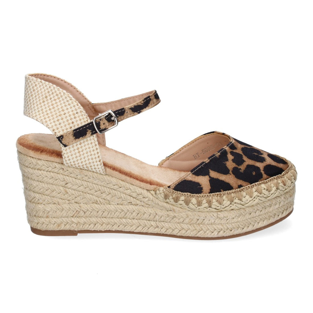 Vimice 5Q92-Leopardo