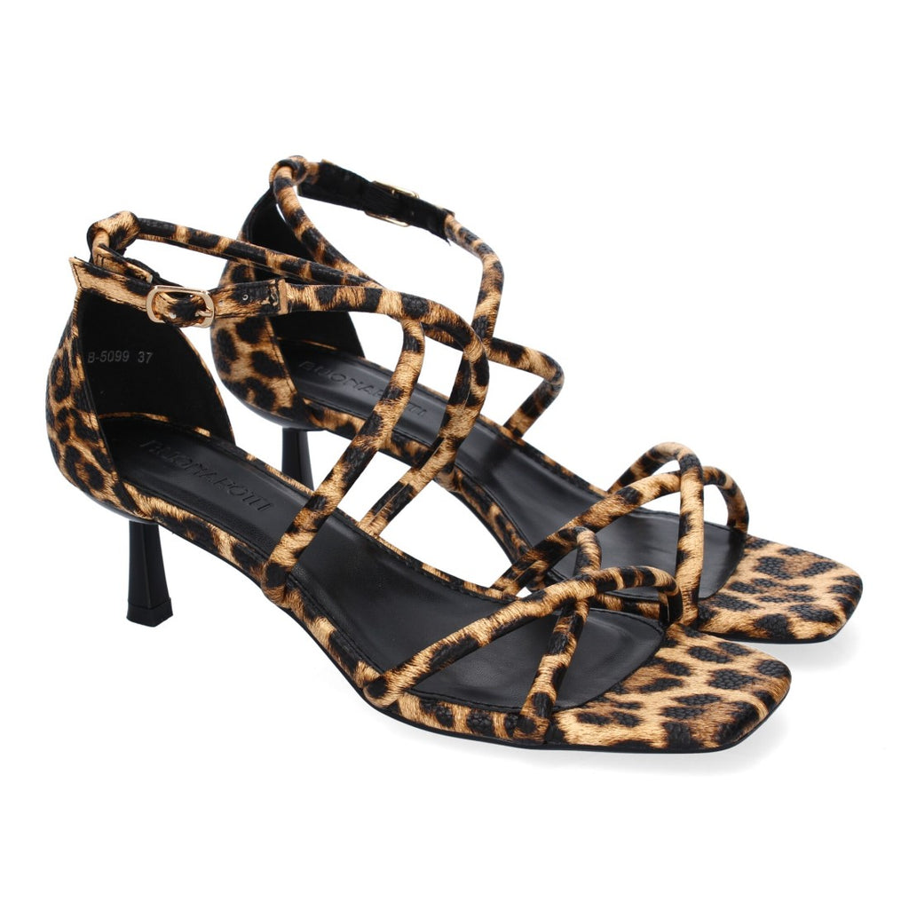 Vimice B-5099-Leopardo