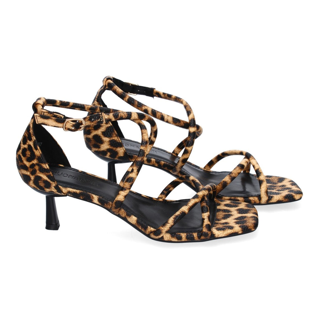 Vimice B-5099-Leopardo