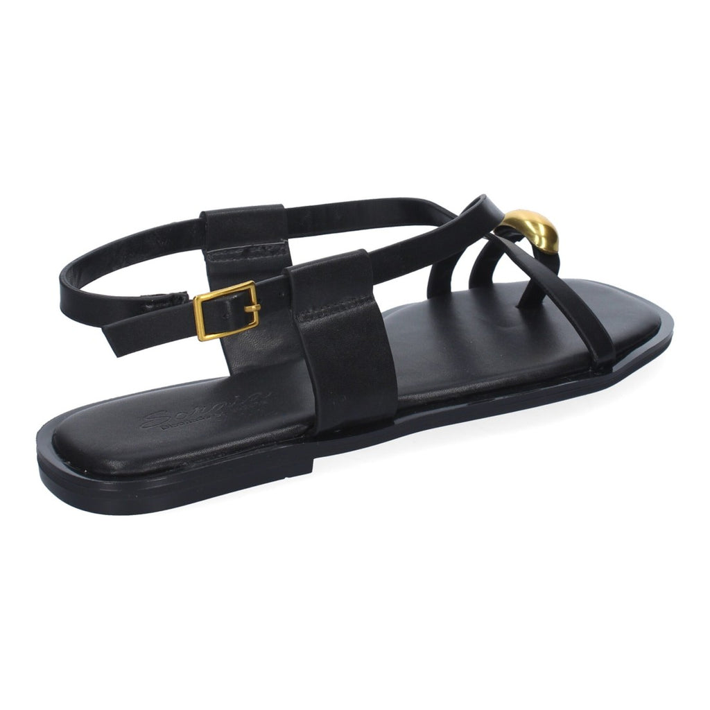 TC-1U1-Negre