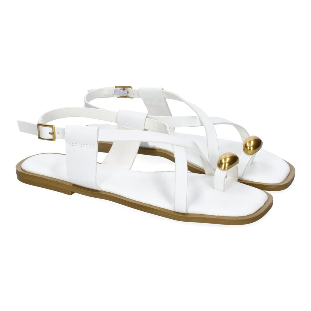 TC-1U1-Blanc