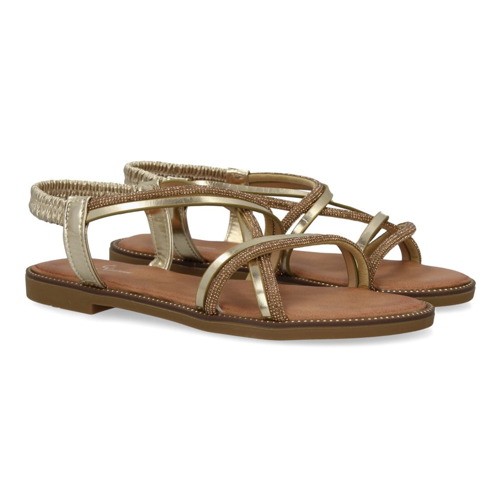 Vimice TF2509-Oro
