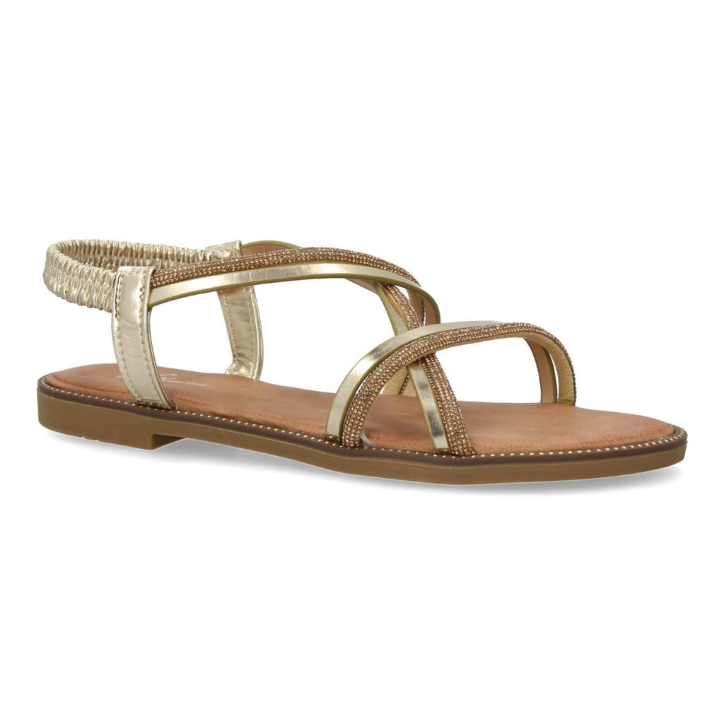 Vimice TF2509-Oro