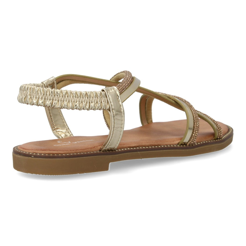 Vimice TF2509-Oro