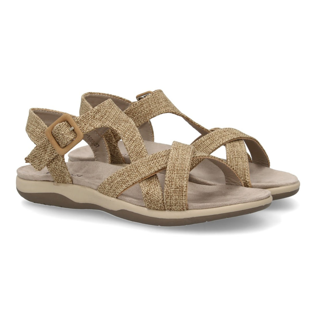 Vimice VR5-1655-Taupe