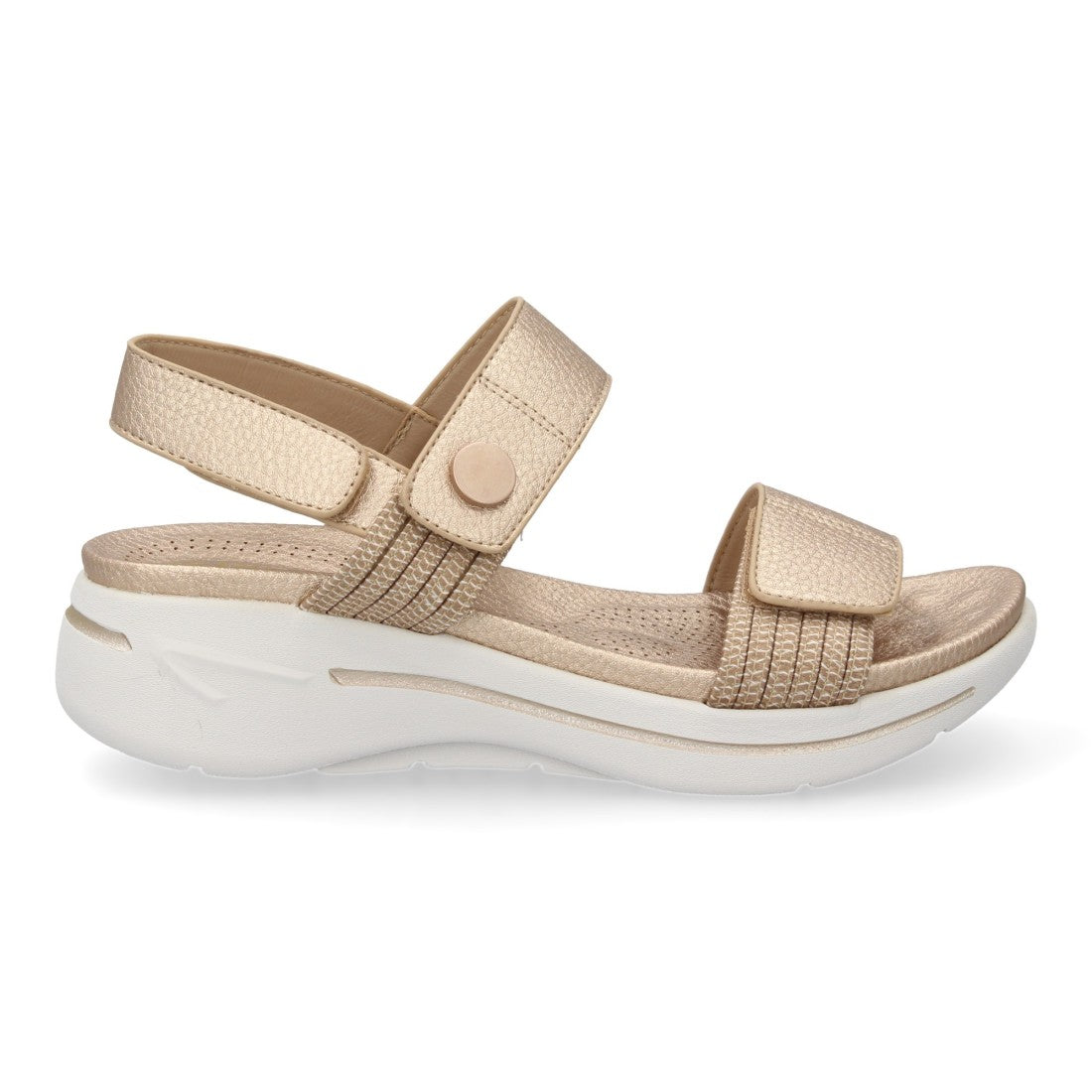 Vimice HLS-0692-Champan