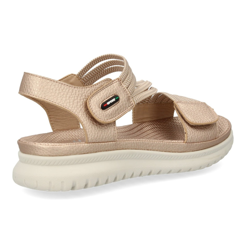 Vimice 23K1688-Champan