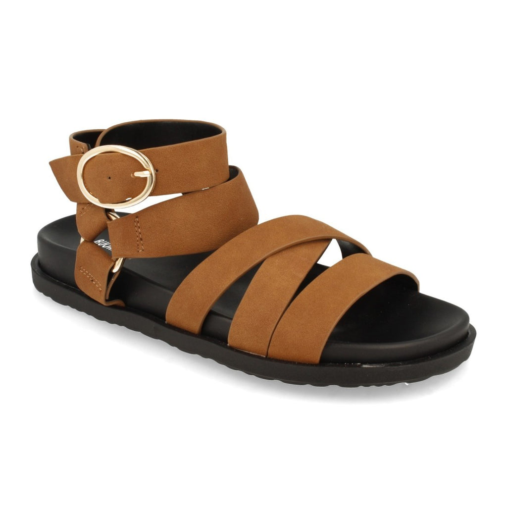 1AF-1135-Camell