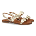 W-5289-Or