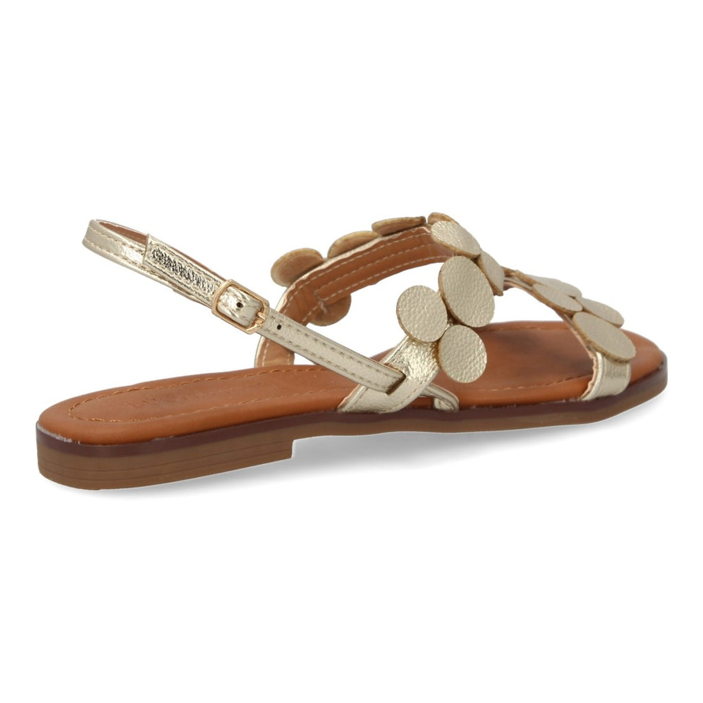 W-5289-Or