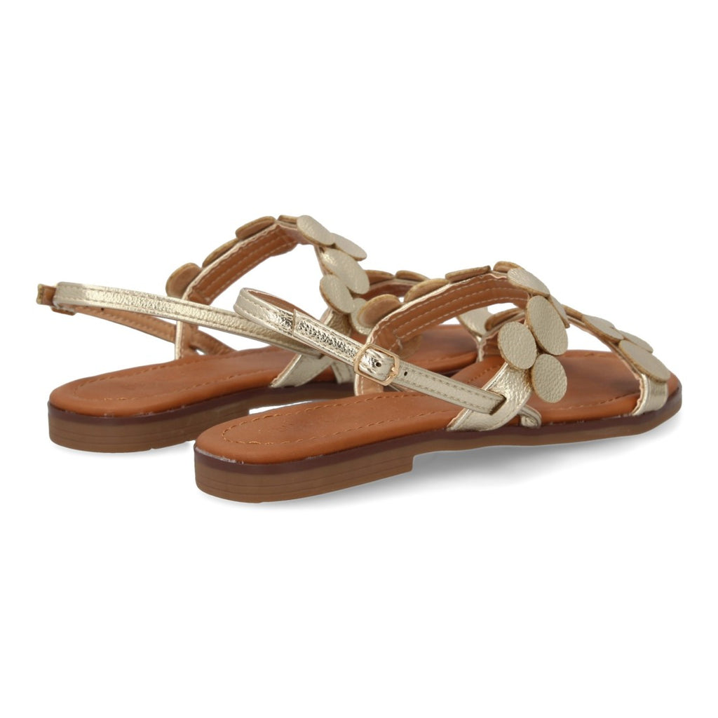W-5289-Or