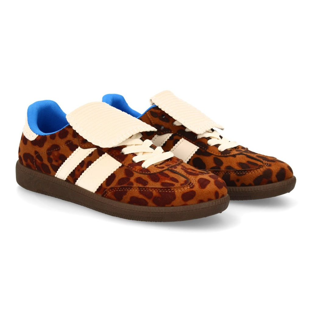 B6609-Lleopard