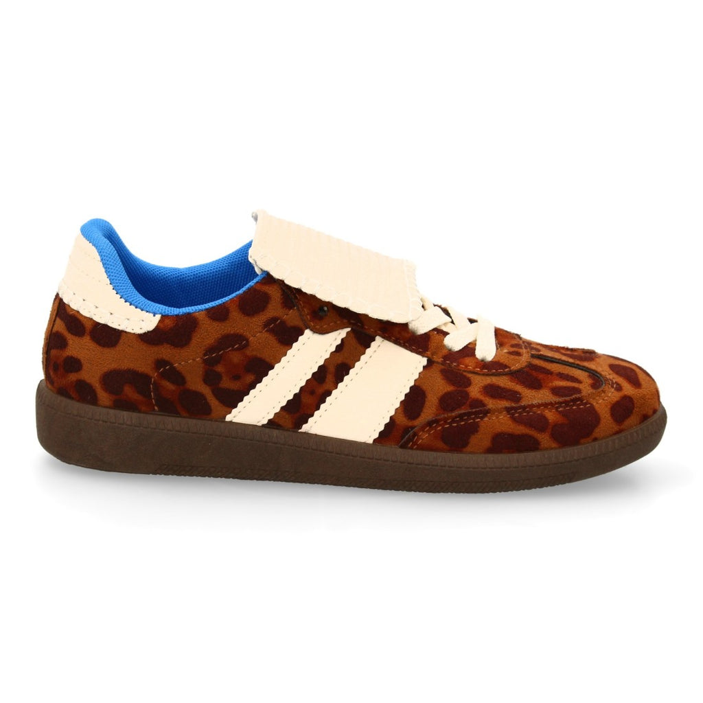 B6609-Lleopard